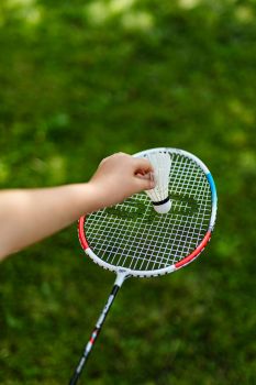 BADMINTON (Championnat LO) Laillé